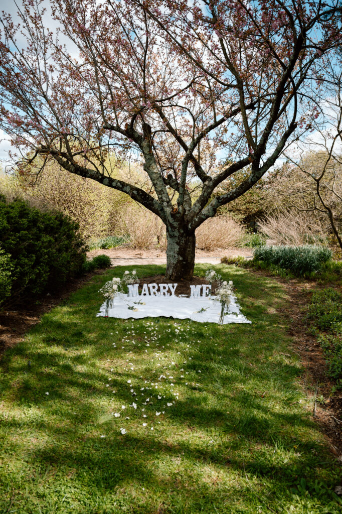 Surprise proposal at The Arboretum in Lexington, Ky