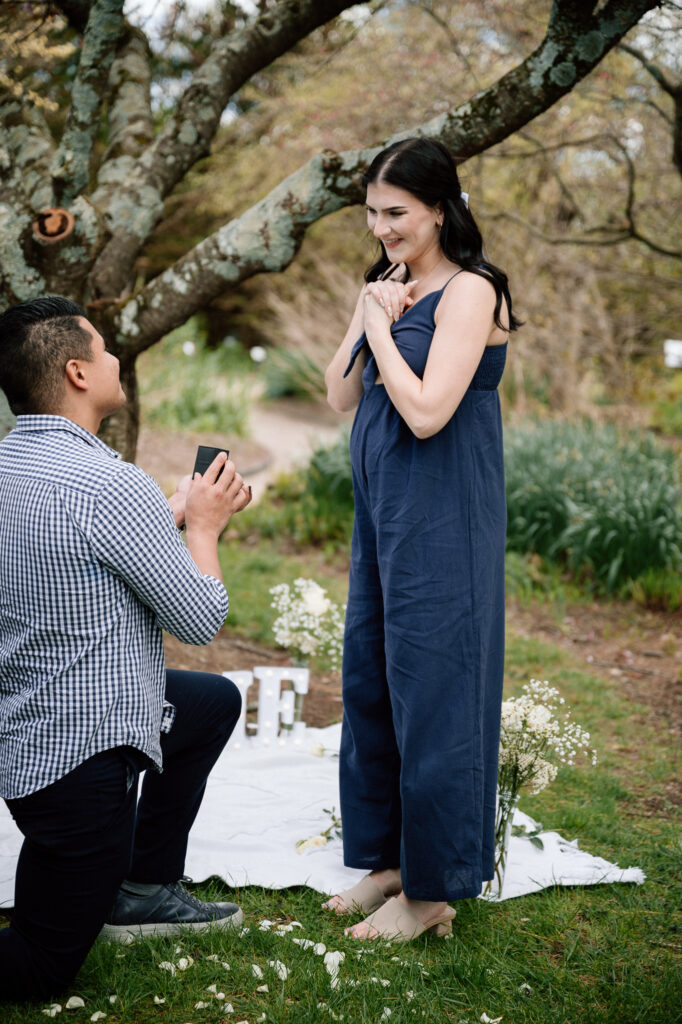 Engagement Portraits in Lexington, Ky