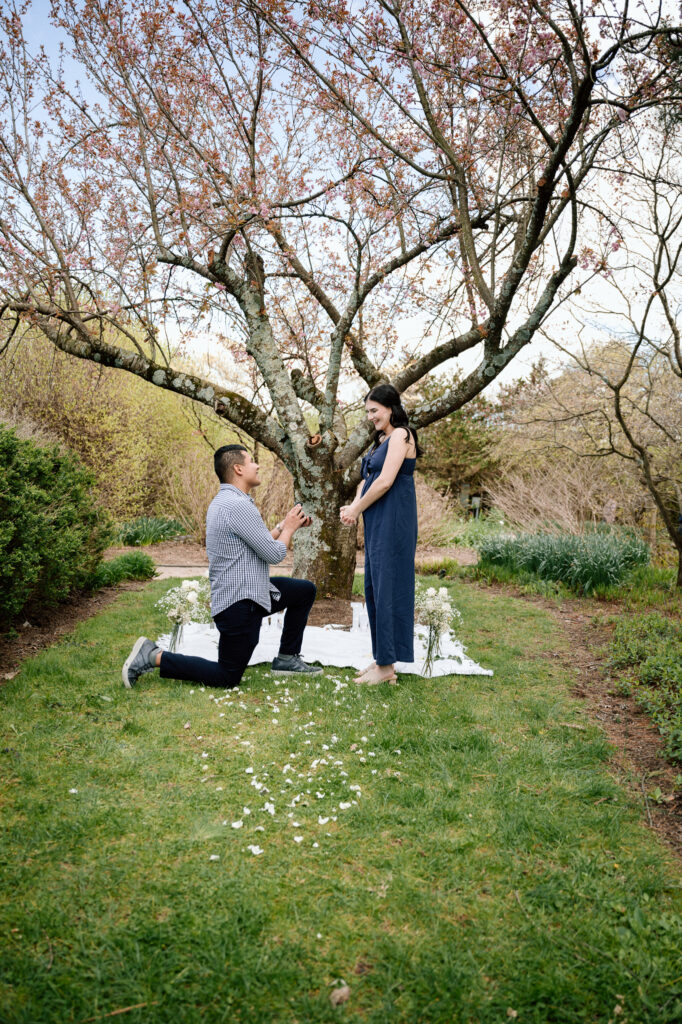 Surprise proposal at The Arboretum in Lexington, Ky