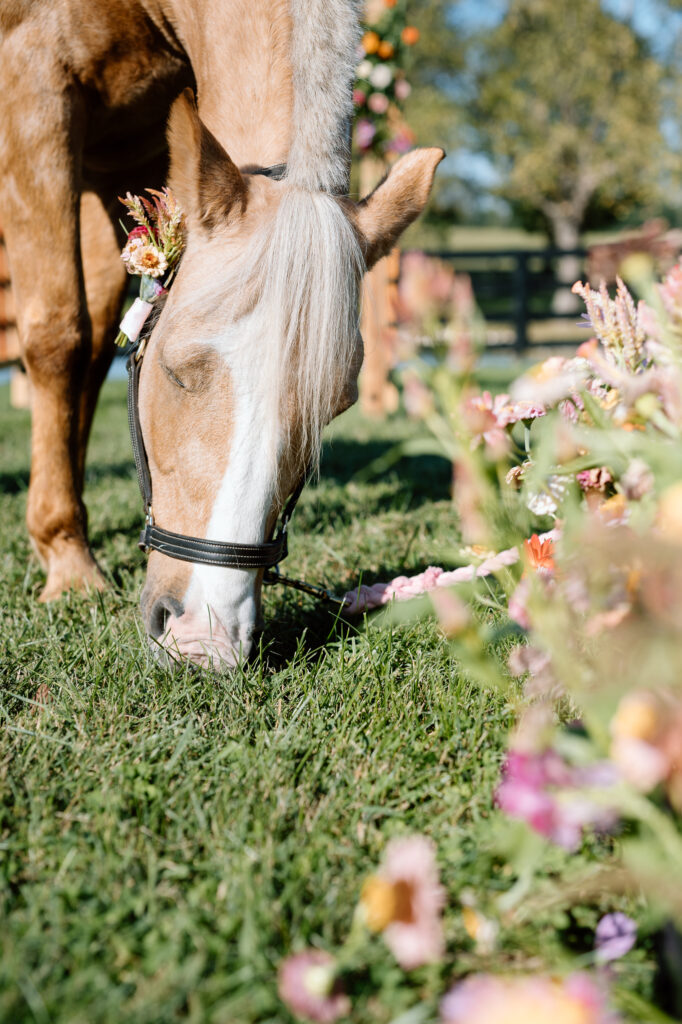 Lexington kentucky wedding details
