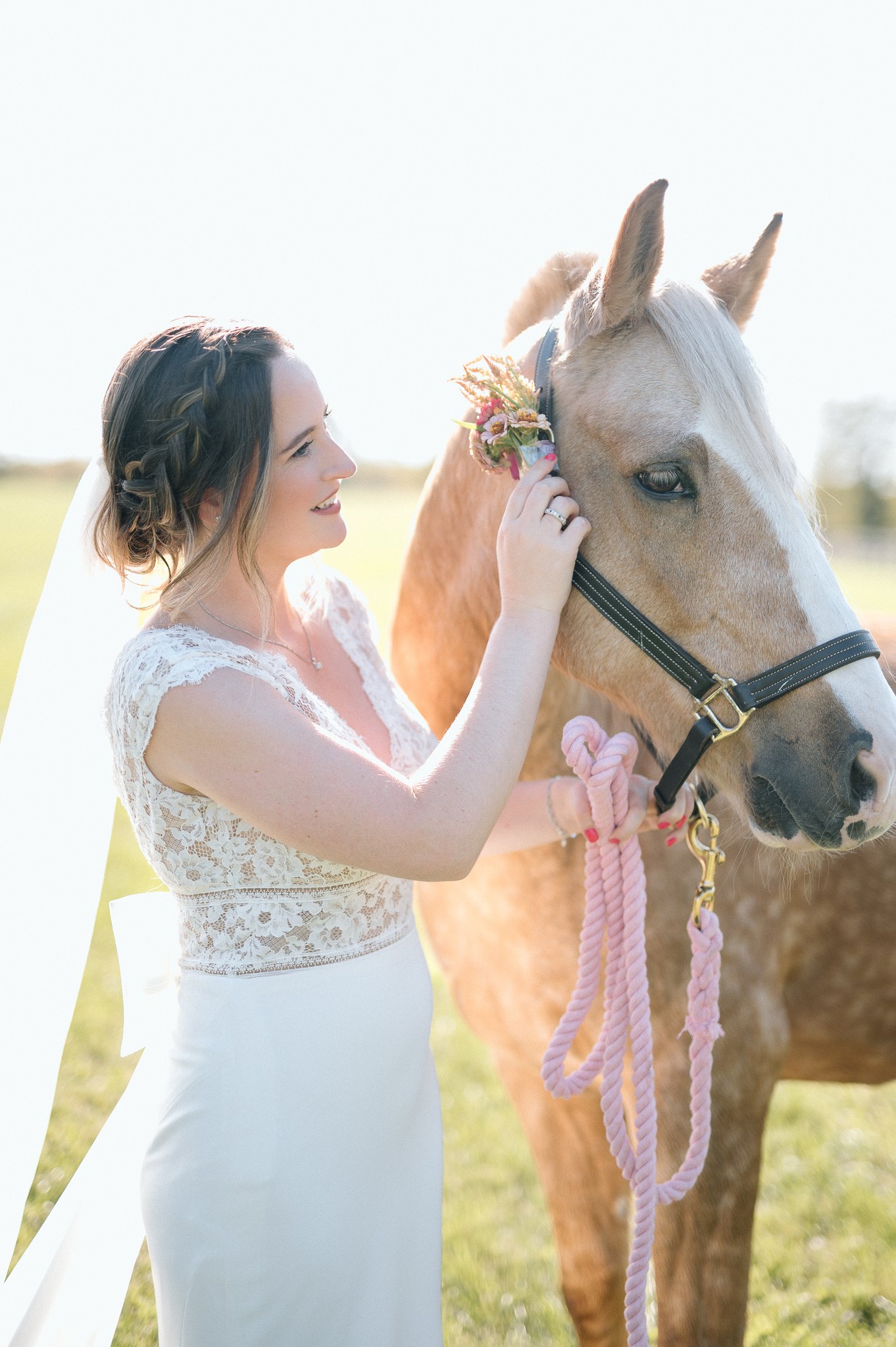 Wedding photographer lexington ky bride horse