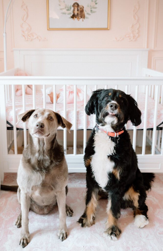 Louisville newborn lifestyle session with parents holding baby in natural window light.